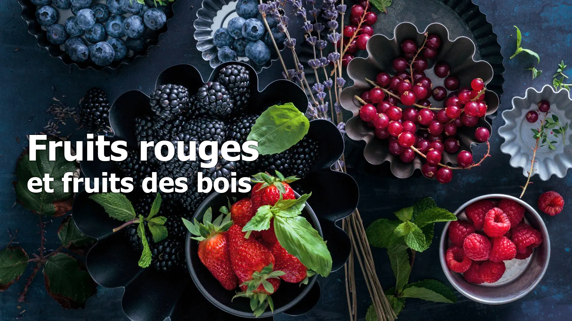 Les Fruit Fruit Rouges Les fruits rouges et les fruits des bois : Des bienfaits pour nos ...